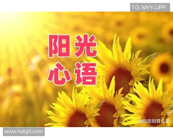 代怀博的成长之路：从平凡到卓越的奋斗历程与人生启示