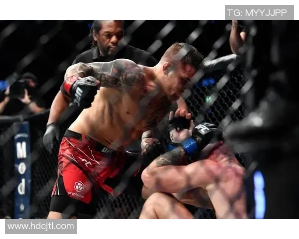 康纳与奥尔多赛后精彩回顾与未来展望，谁将成为下一位拳坛传奇