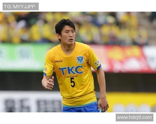 枥木与不死鸟的对决：重生与坚韧的碰撞之旅