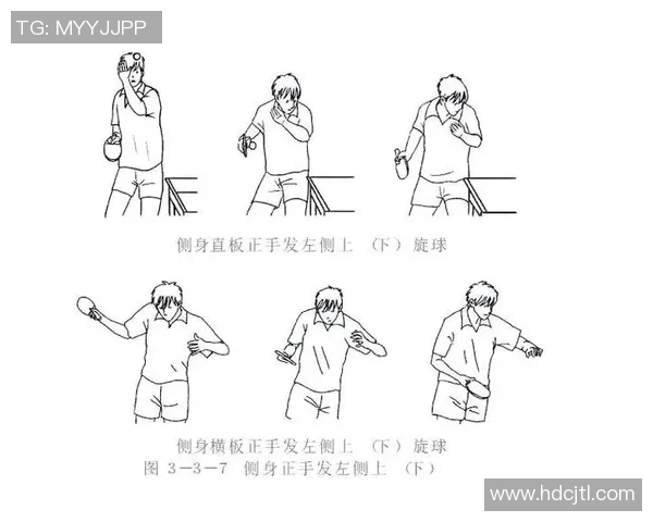 乒乓球新手必看:从基础技巧到实战训练的全面入门指南