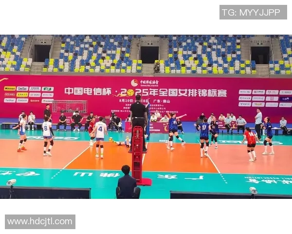 上海排球队创历史新高排球速度排名再创新纪录